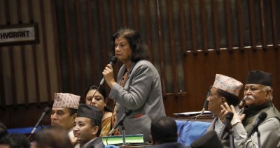  रोशन कार्कीको टिप्पणी- सरकार संसद्प्रति होइन, संसद सरकारप्रति उत्तरदायी भयो 